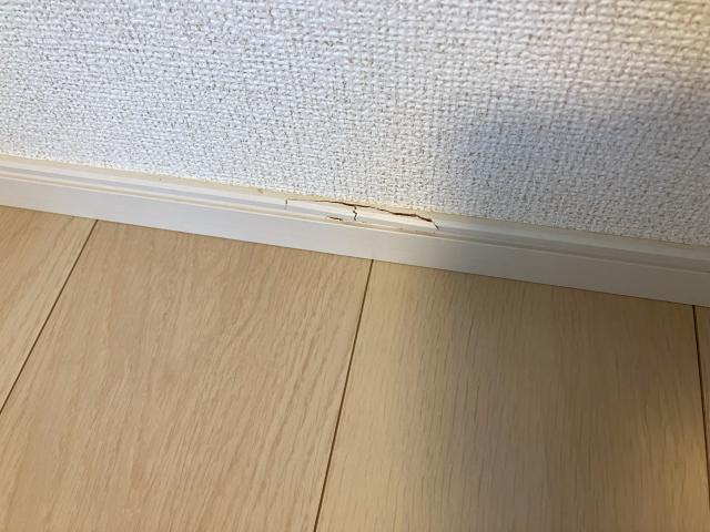 巾木割れ剥がれ