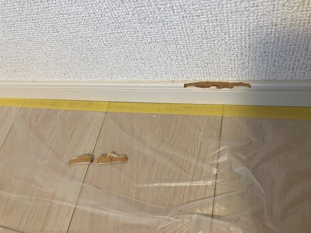 巾木割れ剥がれ